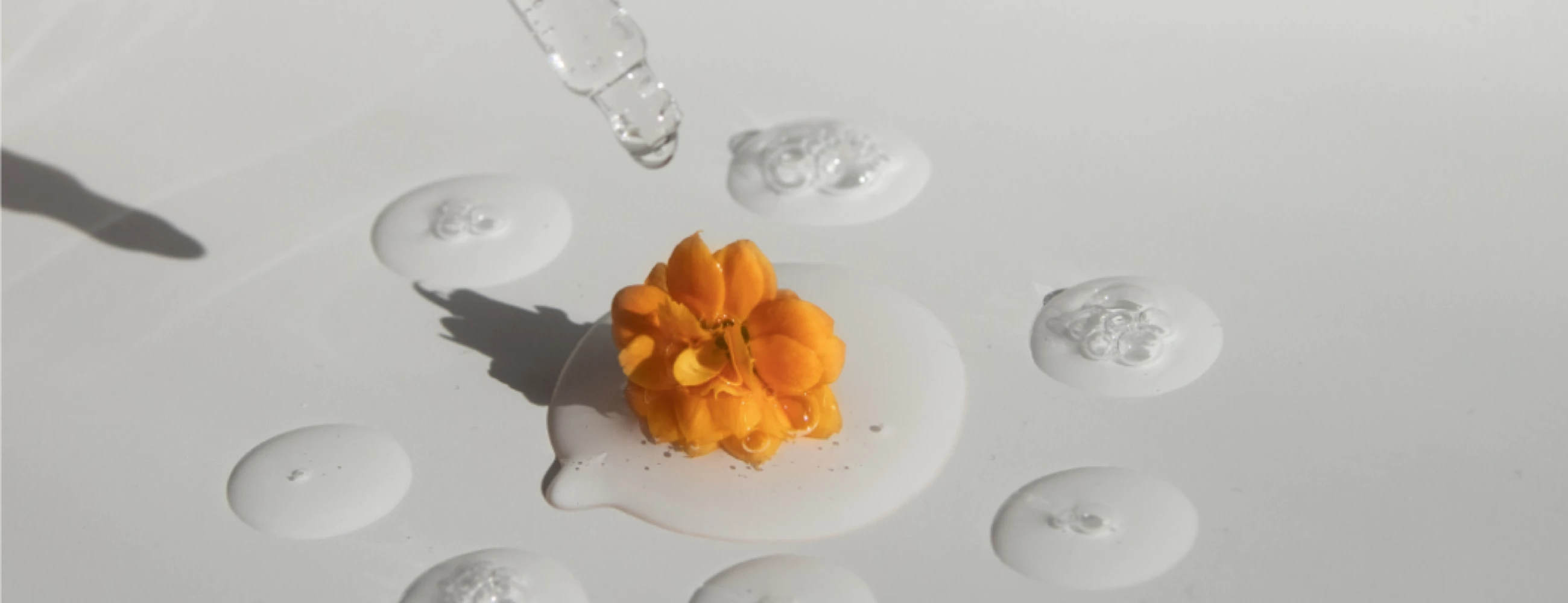 Funzionalità delle vie respiratorie